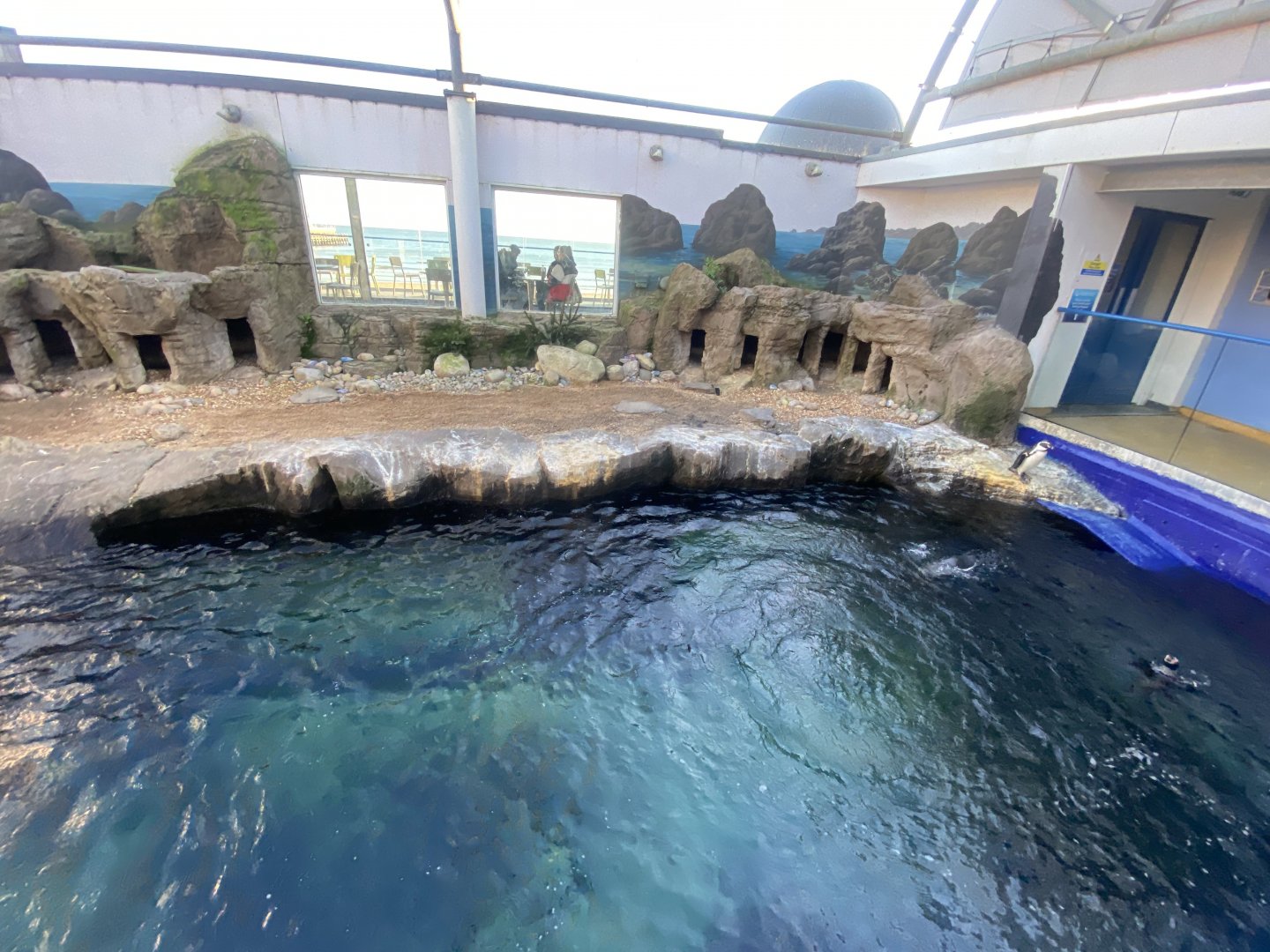 Penguin Beach 070124