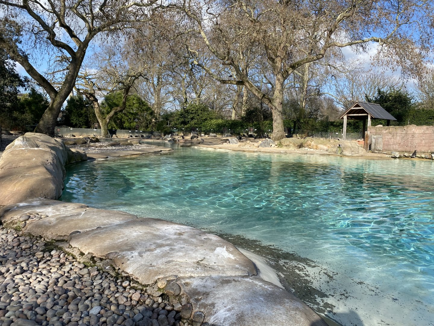 Penguin Beach 180322