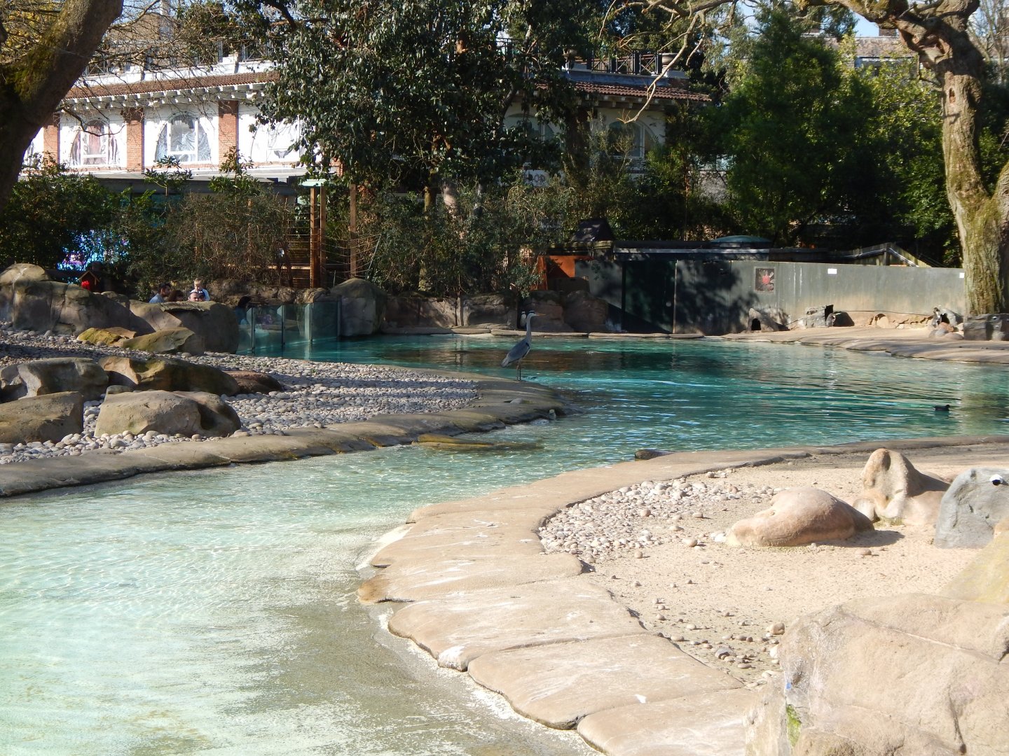 Penguin Beach 180322