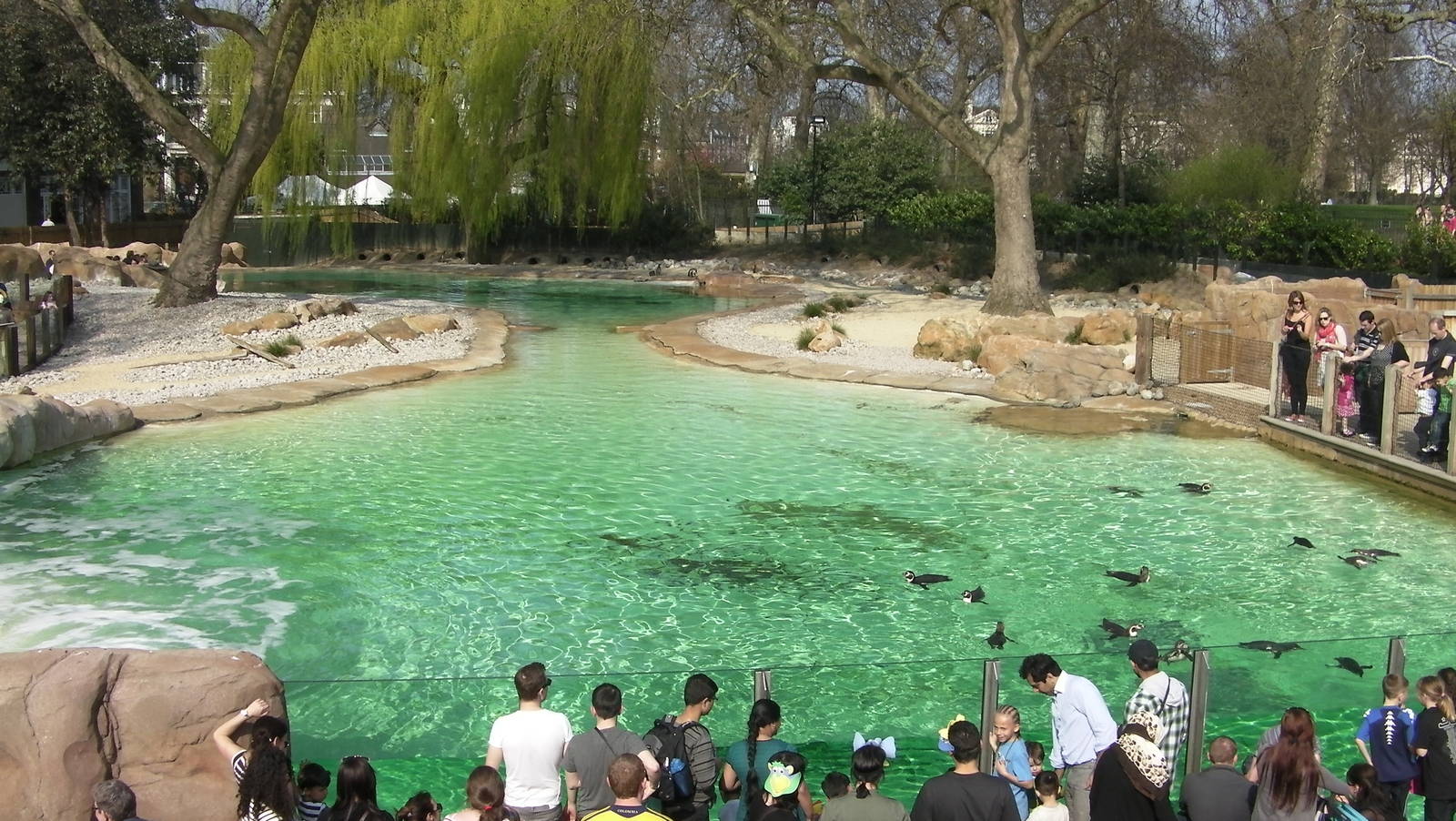 Penguin Beach - 24.03.2012