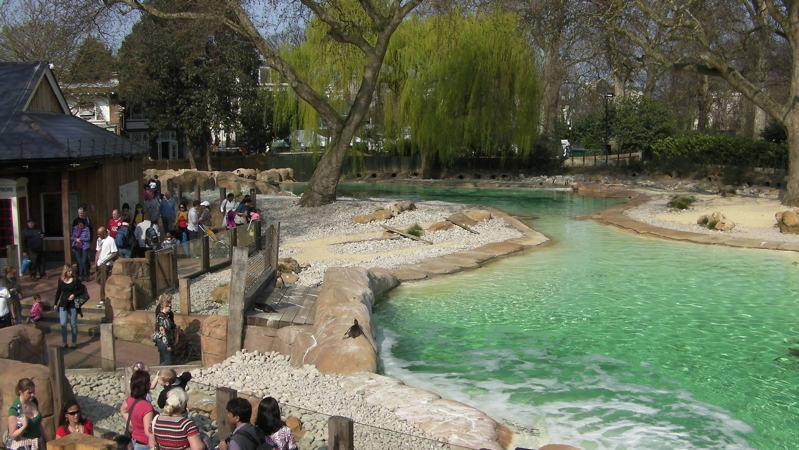 Penguin Beach - 24.03.2012