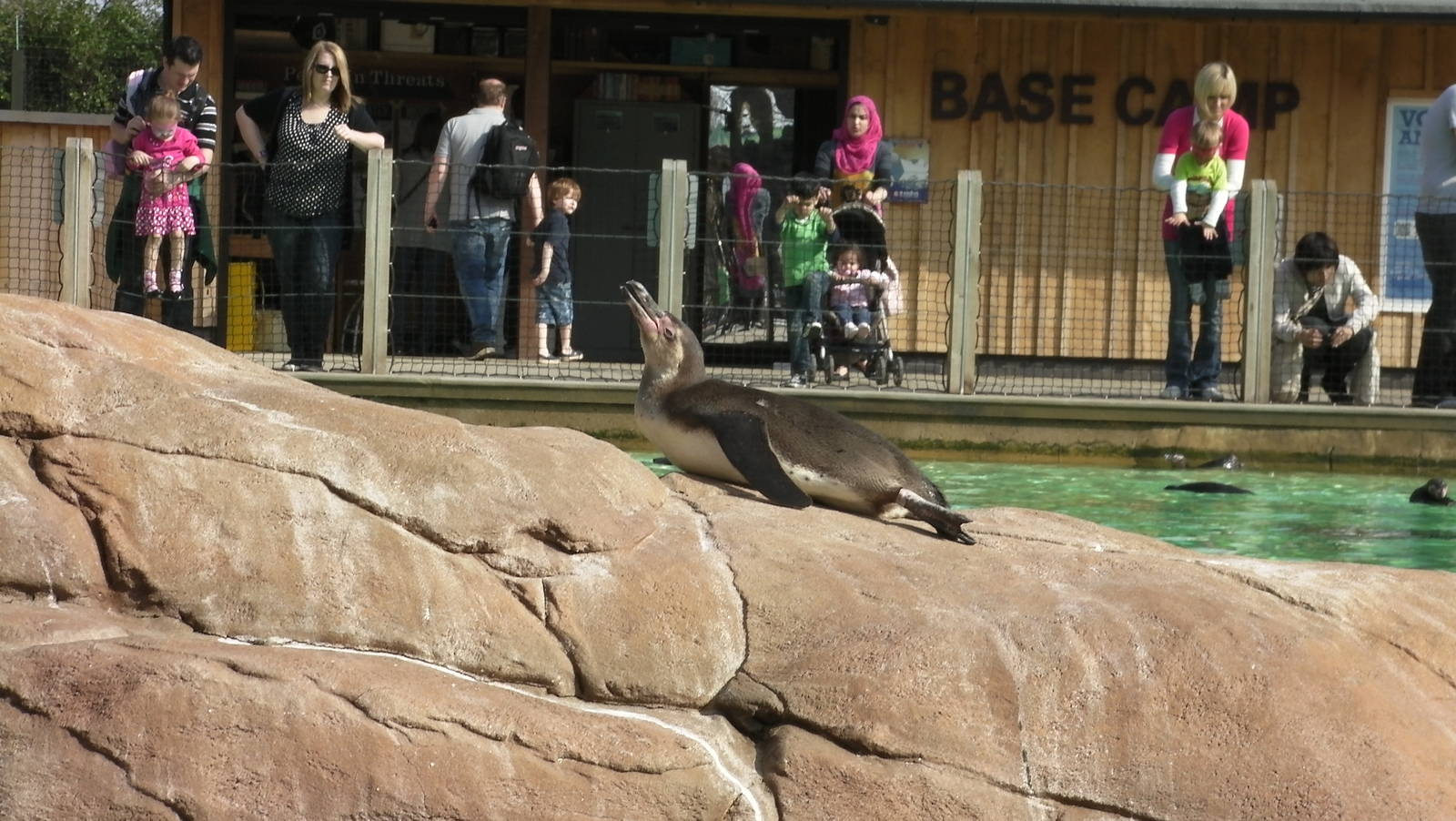 Penguin Beach - 24.03.2012