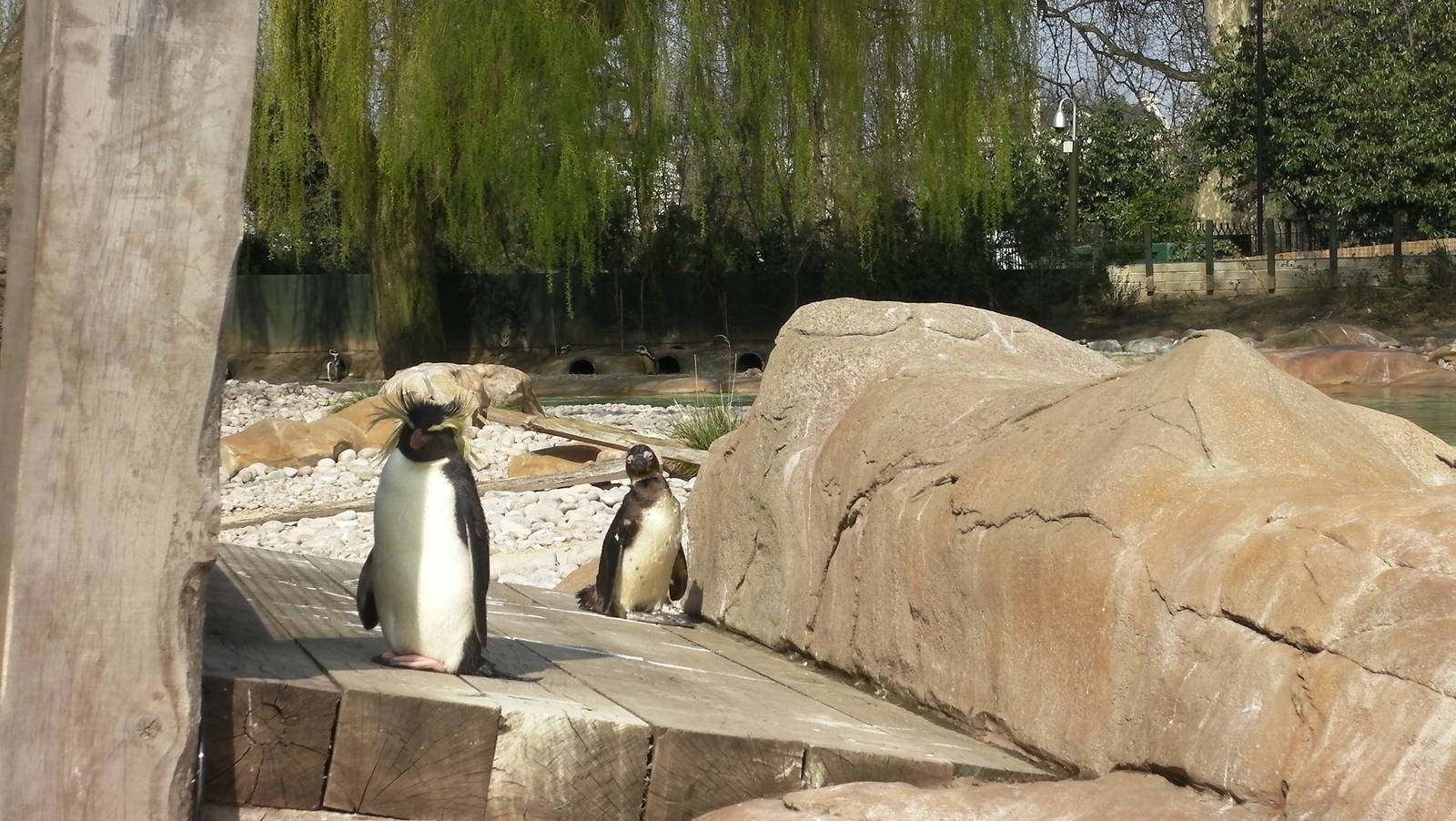 Penguin Beach - 24.03.2012