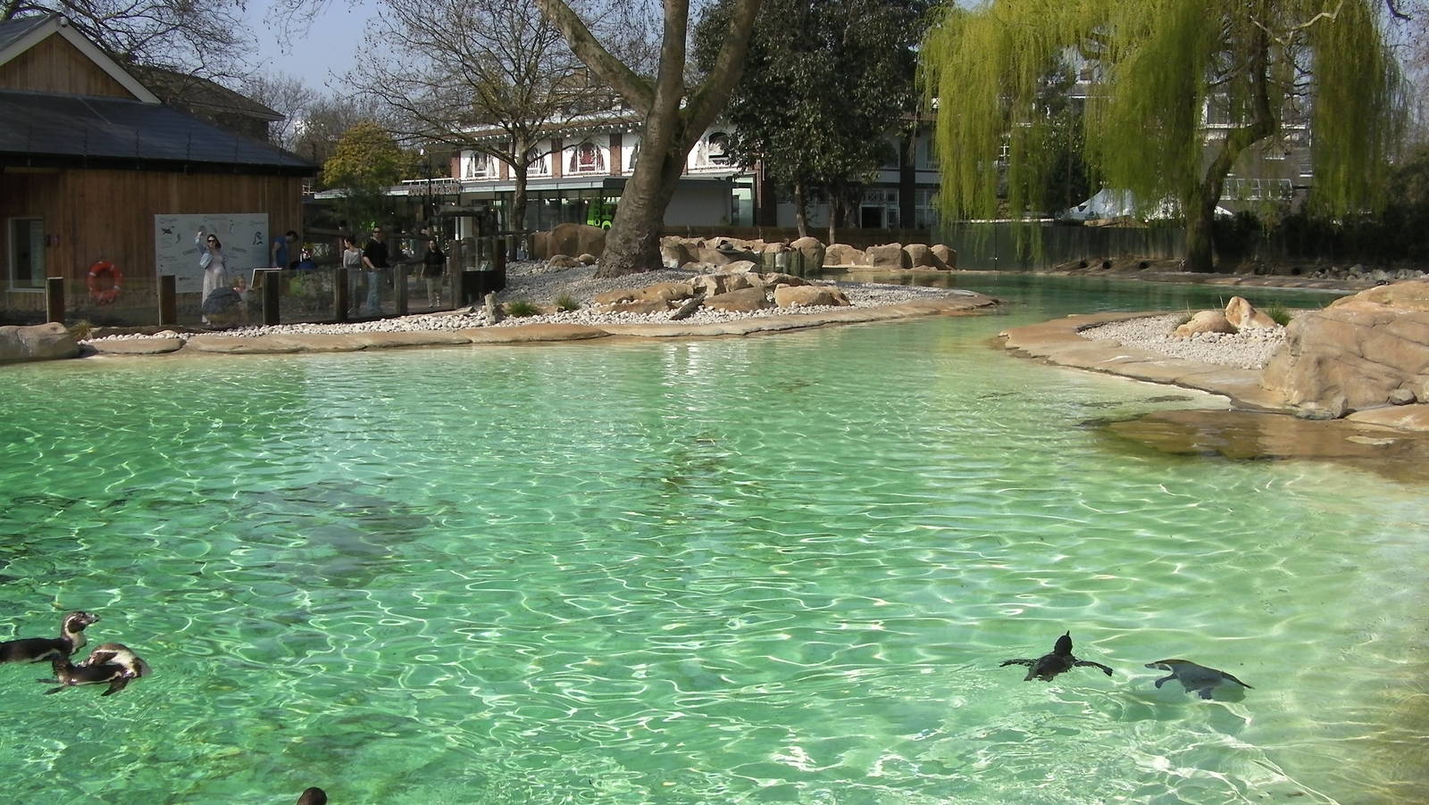 Penguin Beach - 24.03.2012