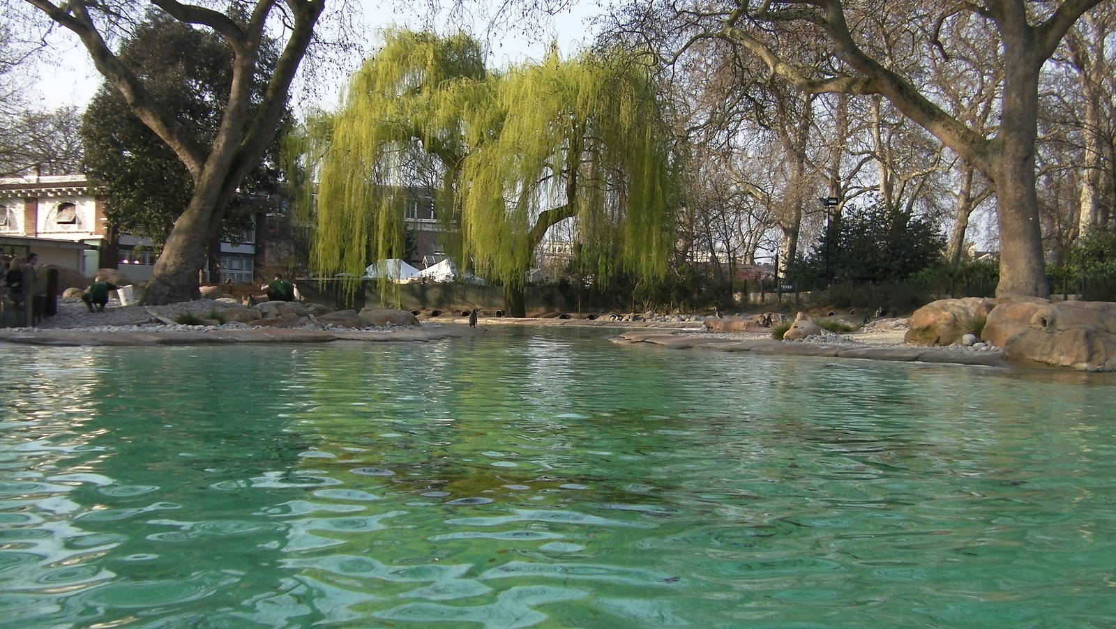 Penguin Beach - 24.03.2012