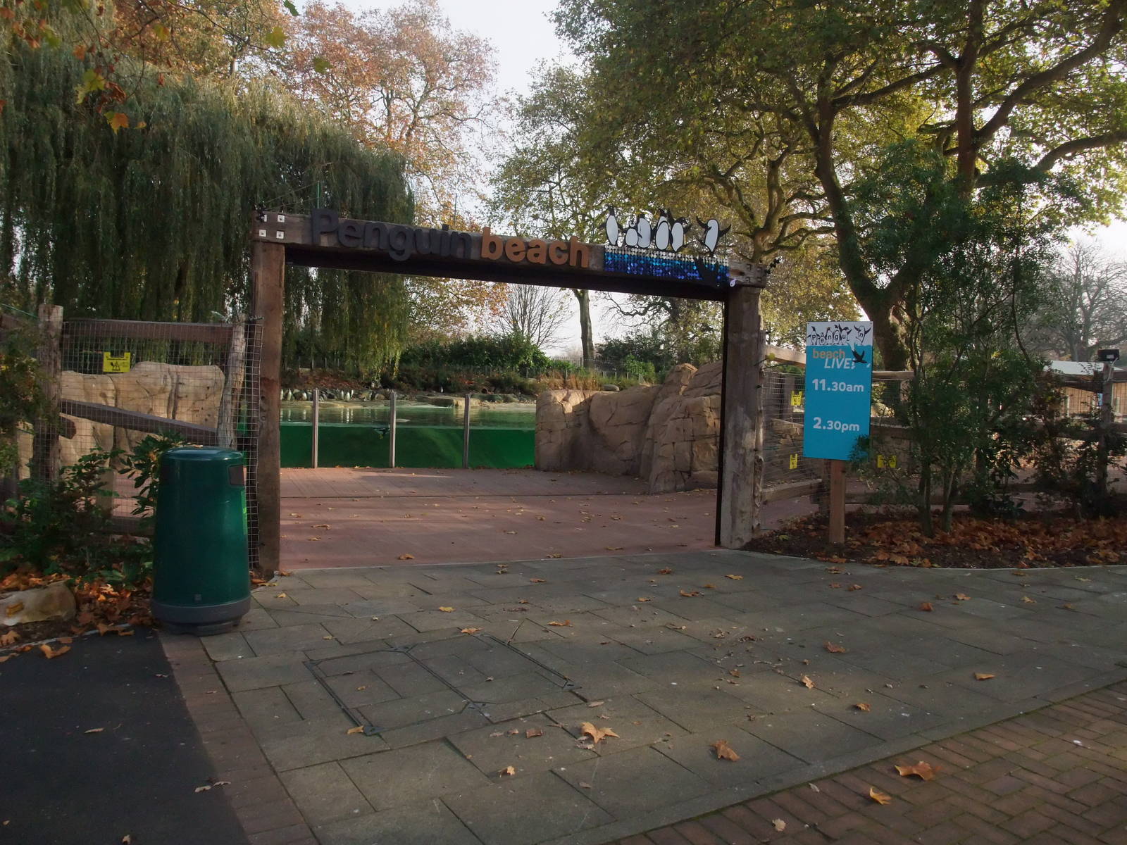 Penguin Beach at London, 16/11/11