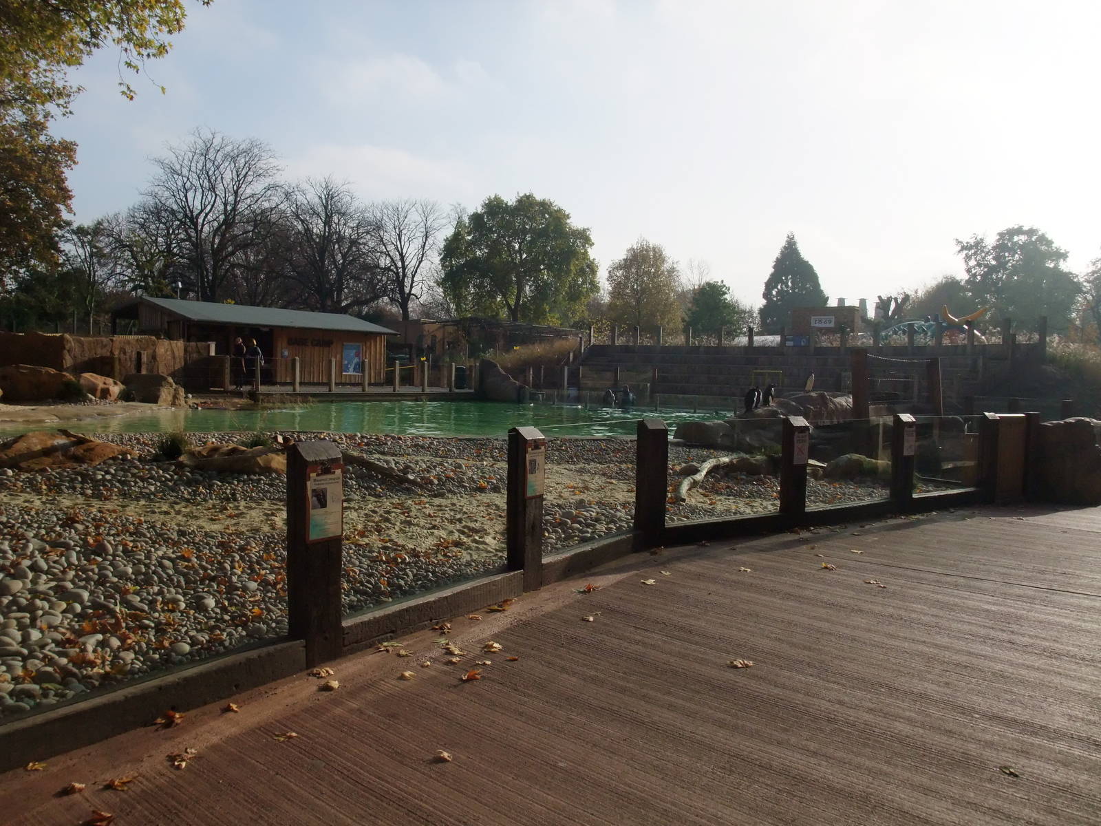 Penguin Beach at London, 16/11/11