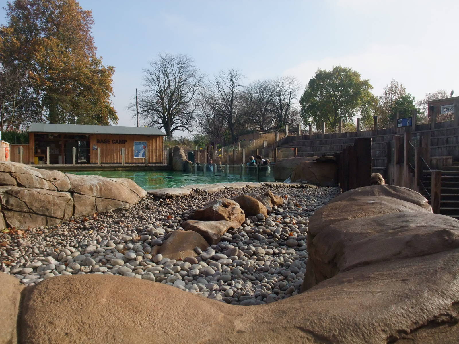 Penguin Beach at London, 16/11/11