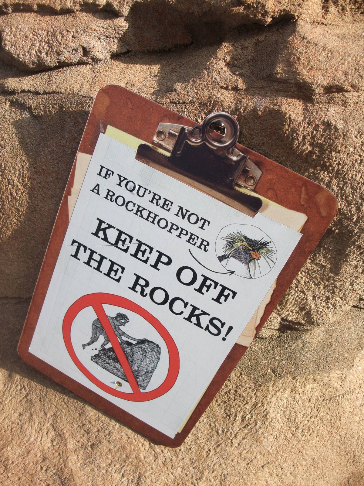 Penguin Beach at London, 16/11/11