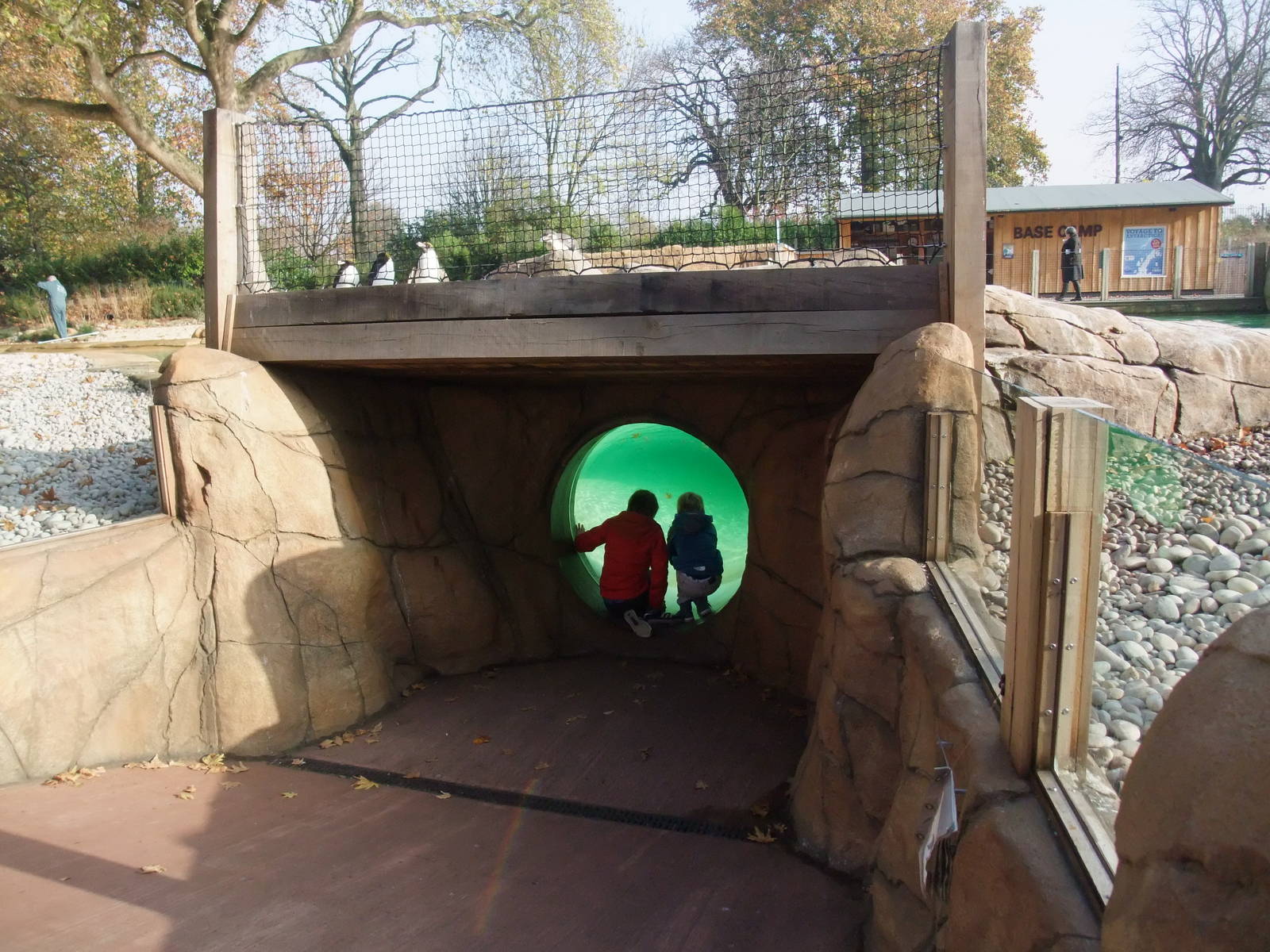 Penguin Beach at London, 16/11/11