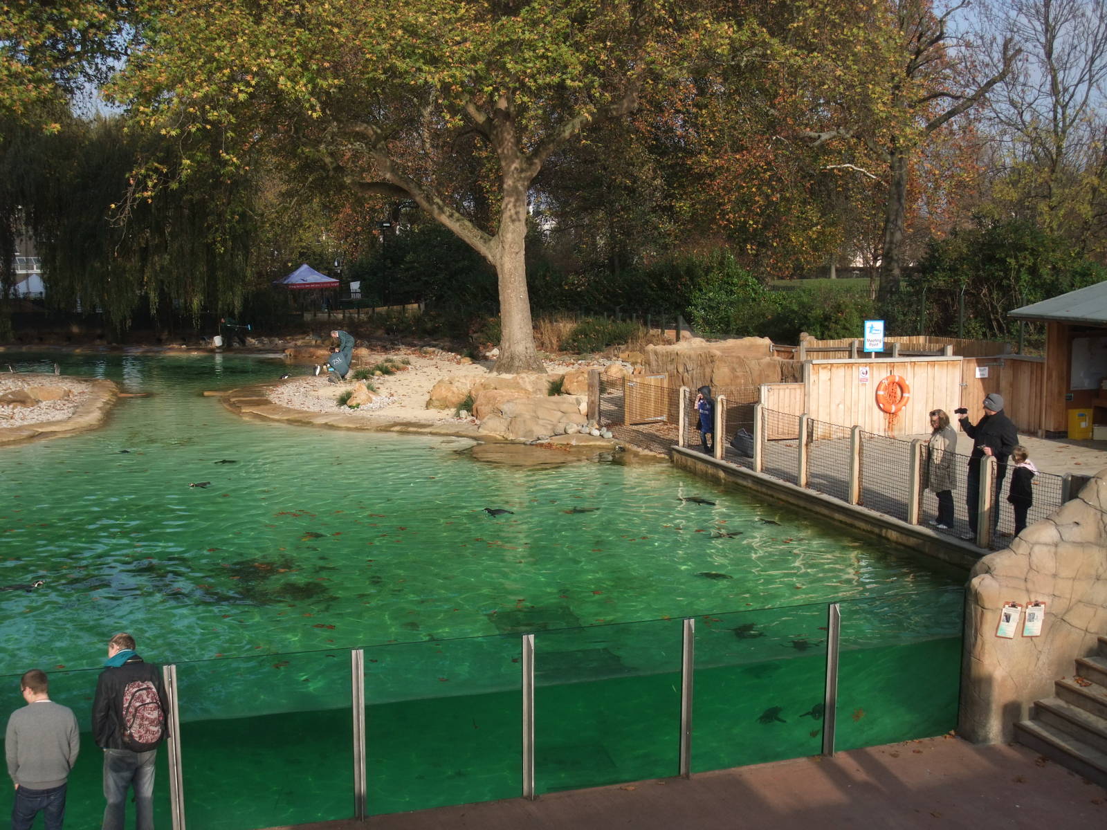 Penguin Beach at London, 16/11/11