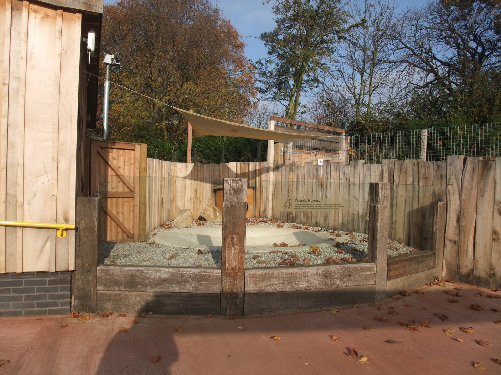 Penguin Beach at London, 16/11/11