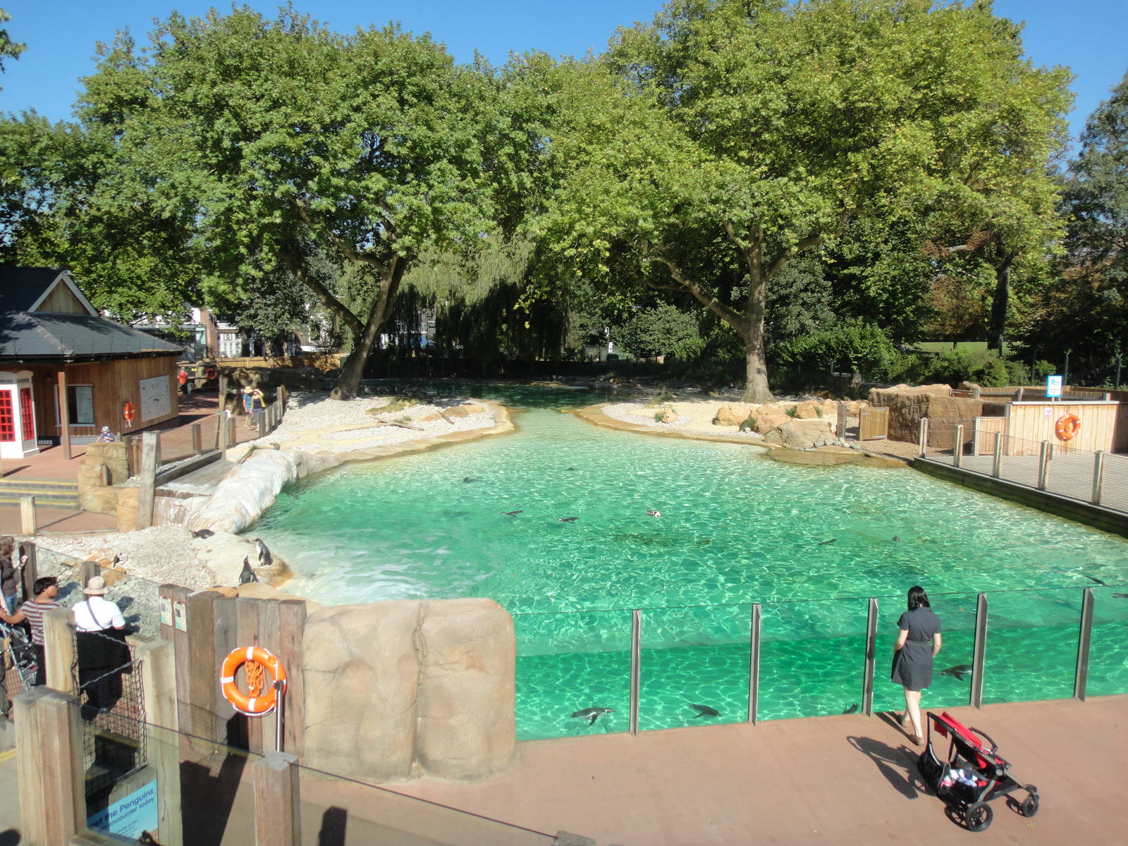 Penguin Beach at London Zoo