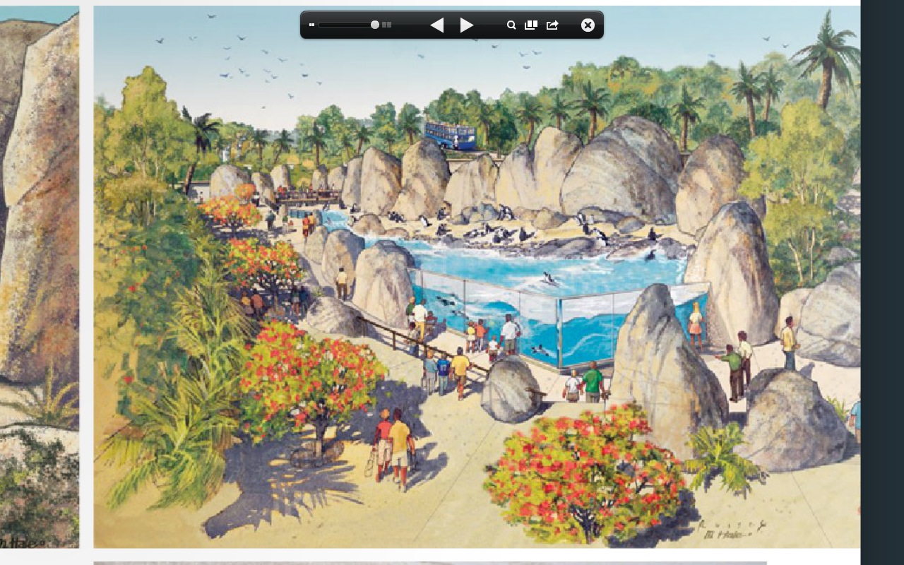 Penguin Beach Concept Drawing