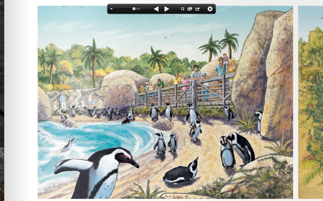 Penguin Beach Concept Drawing