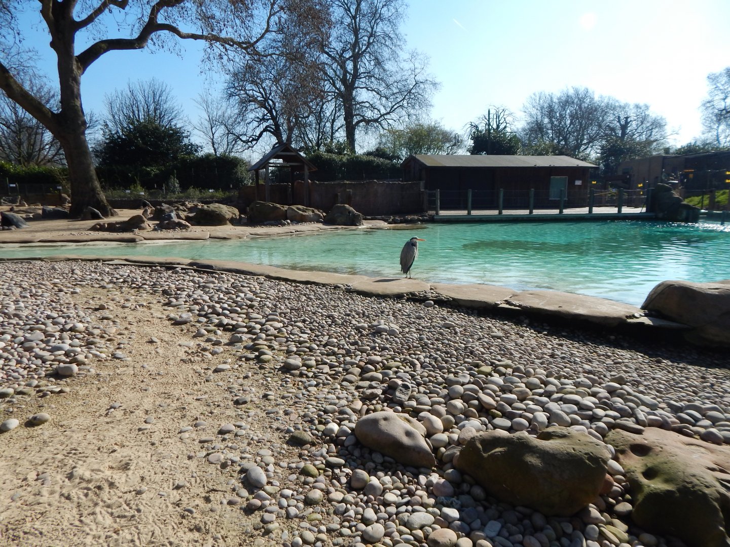 Penguin Beach (early morning) 190322