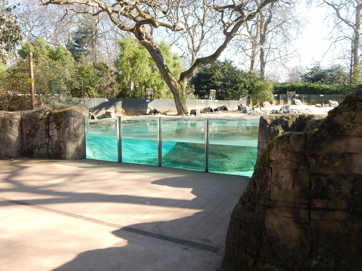 Penguin Beach (early morning) 190322