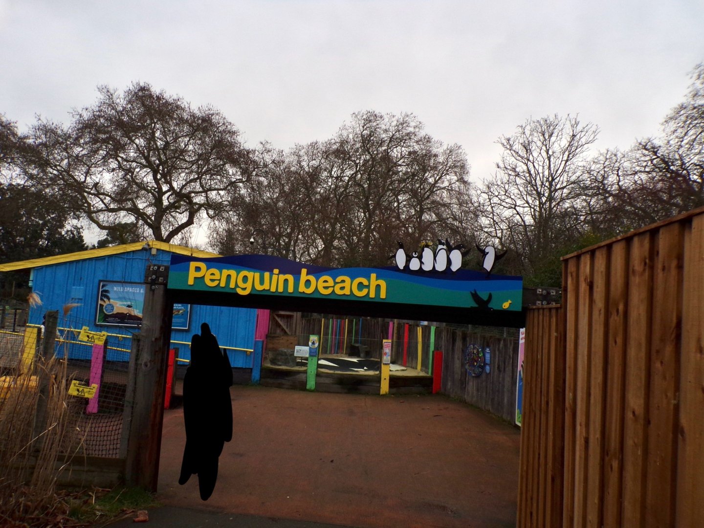 Penguin beach entrance 11.2.25