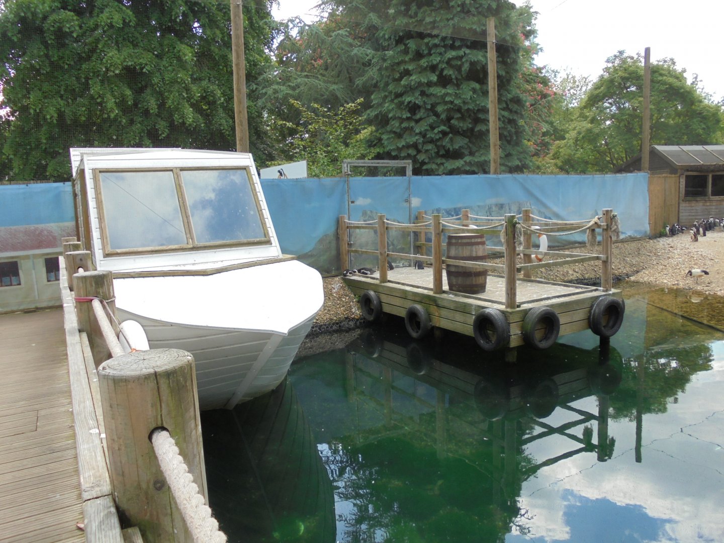 Penguin Beach walk-through aviary 2017