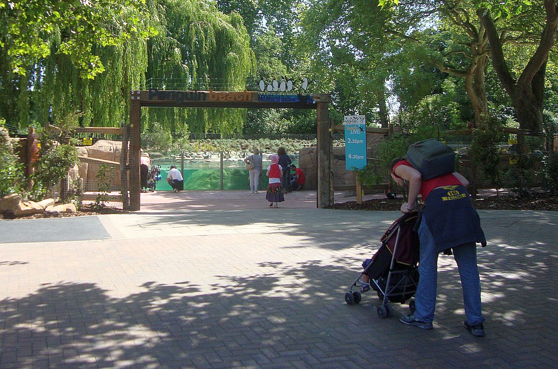 Penguin Beach - ZSL - June 1 2011