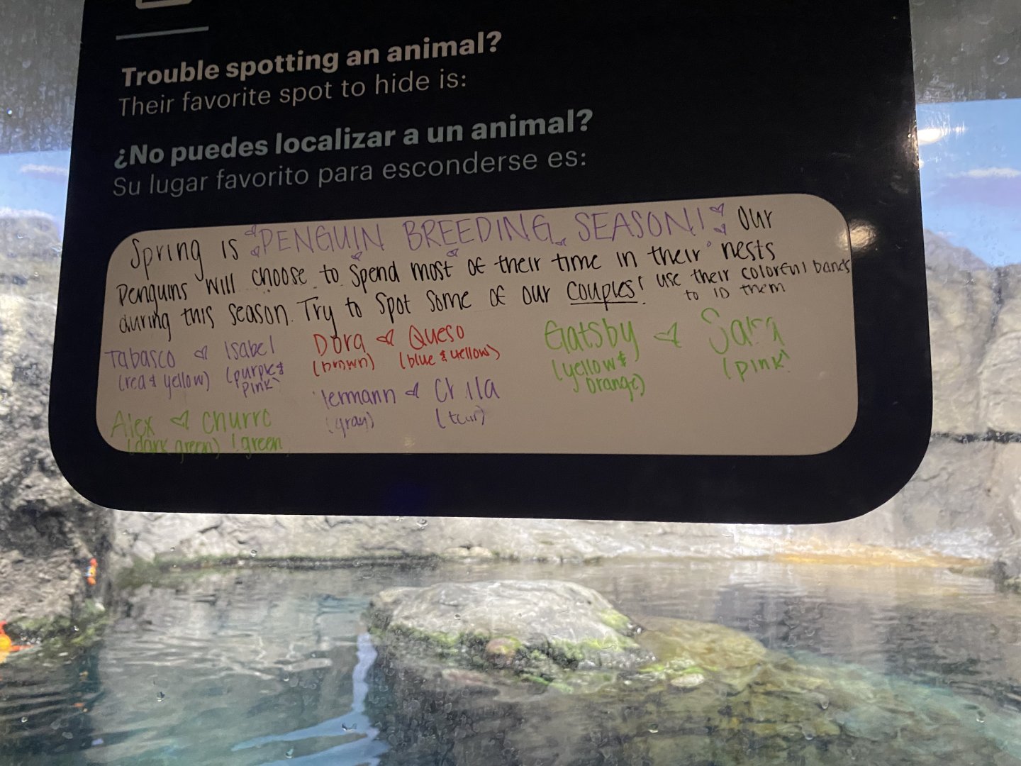 Penguin Breeding Season