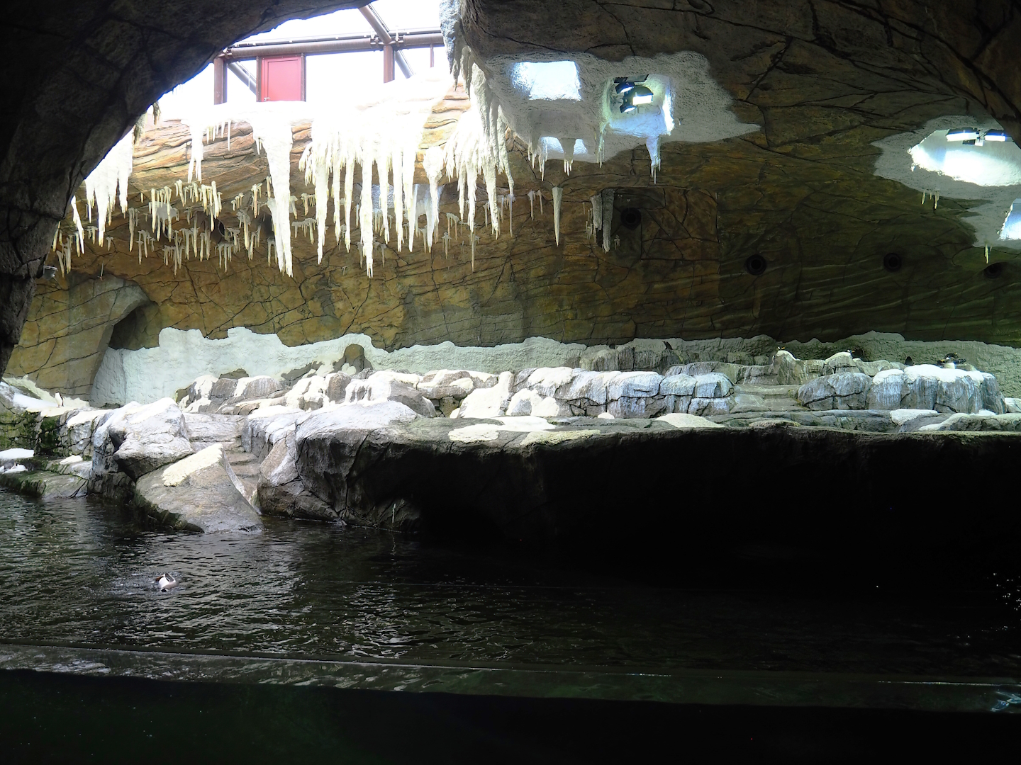 Penguin cave, 2023-05-15