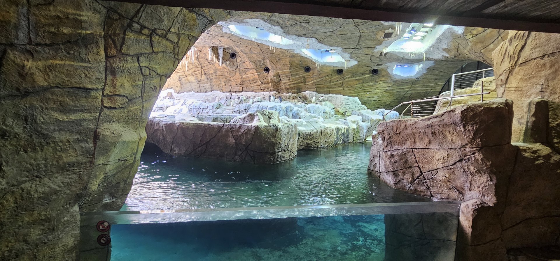 Penguin cave, gentoo, rock hopper, king species in exhibit