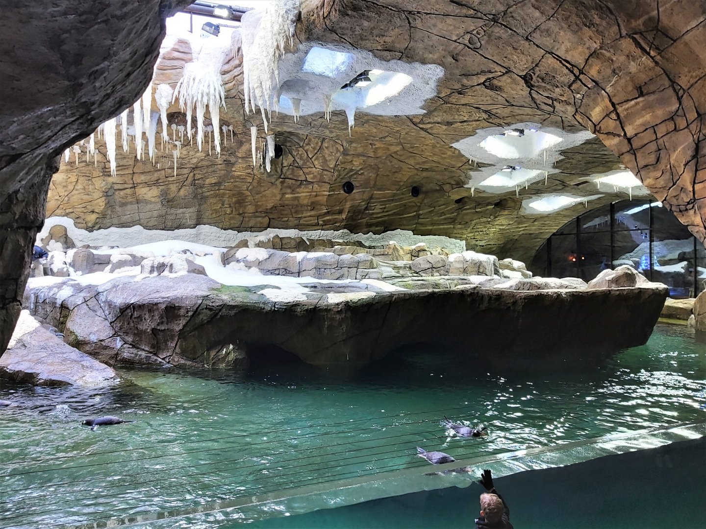 Penguin Cave