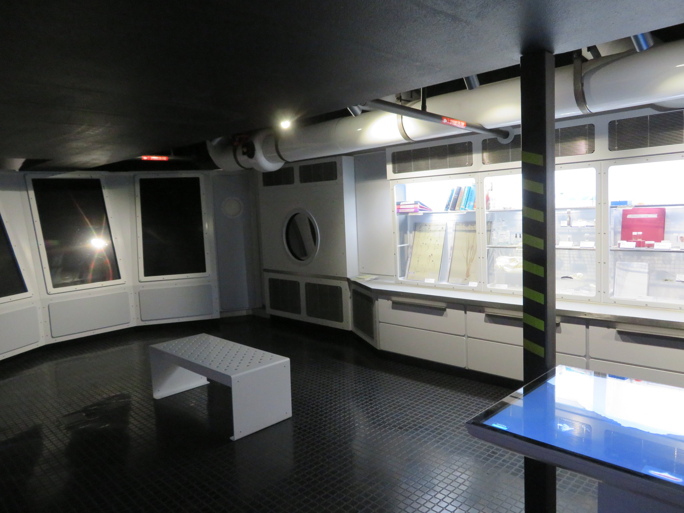 Penguin Chill - Antarctic Research Vessel