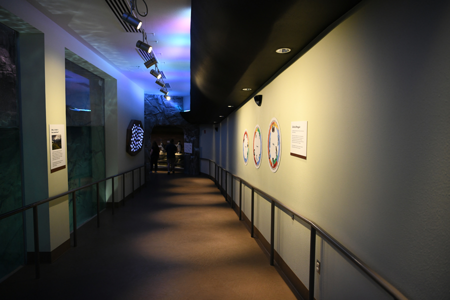 Penguin Chill - corridor