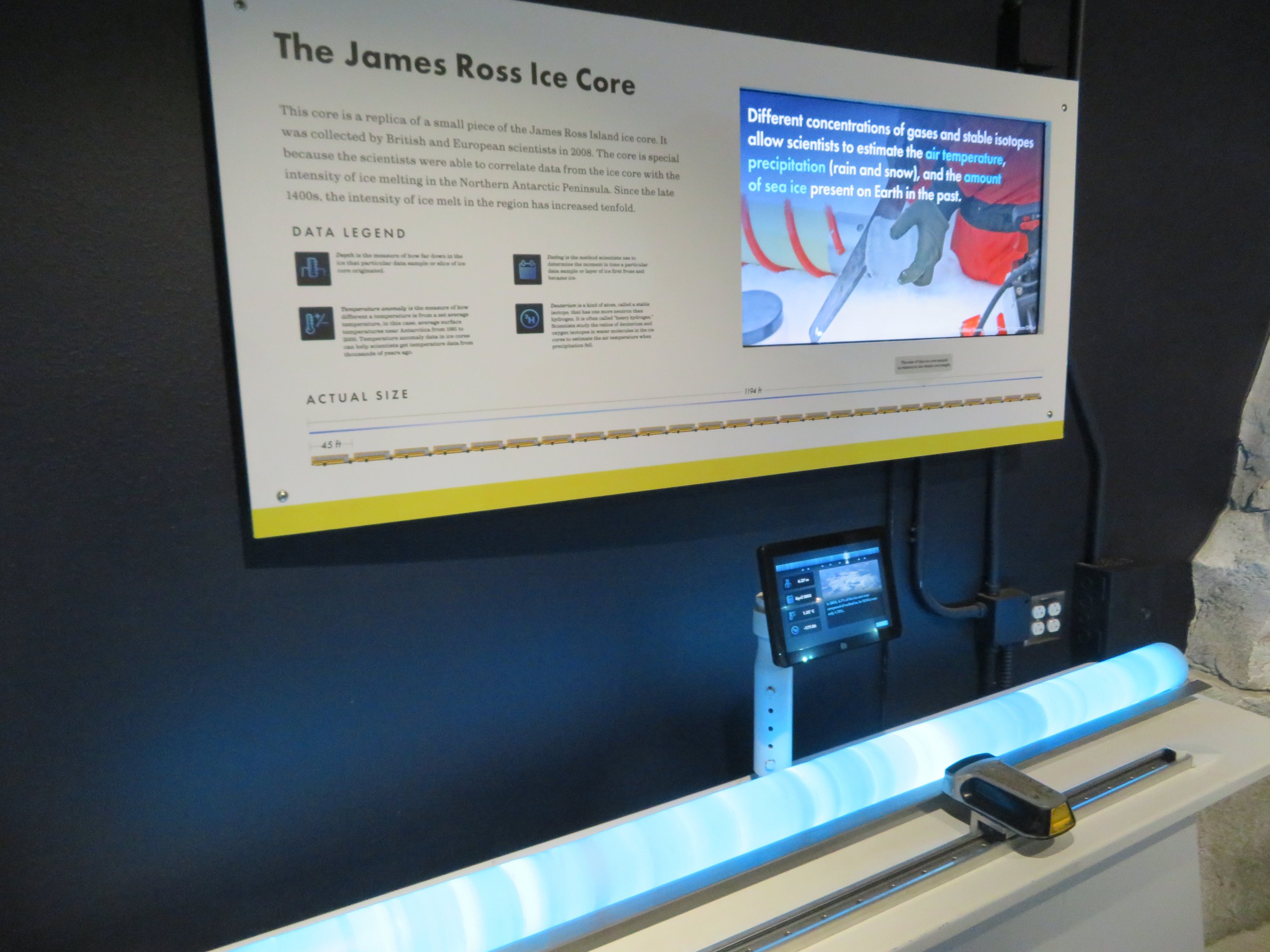 Penguin Chill - Educational Engagement