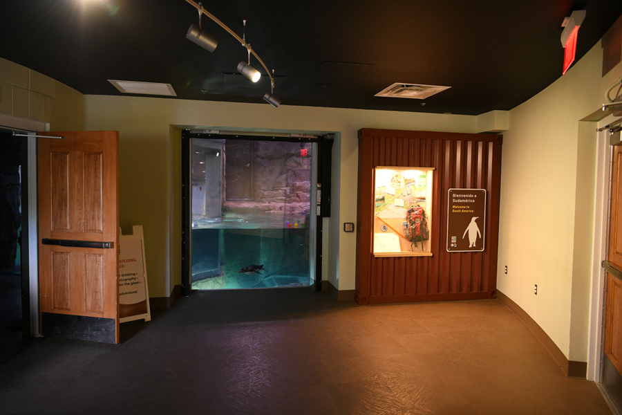 Penguin Chill - entrance room