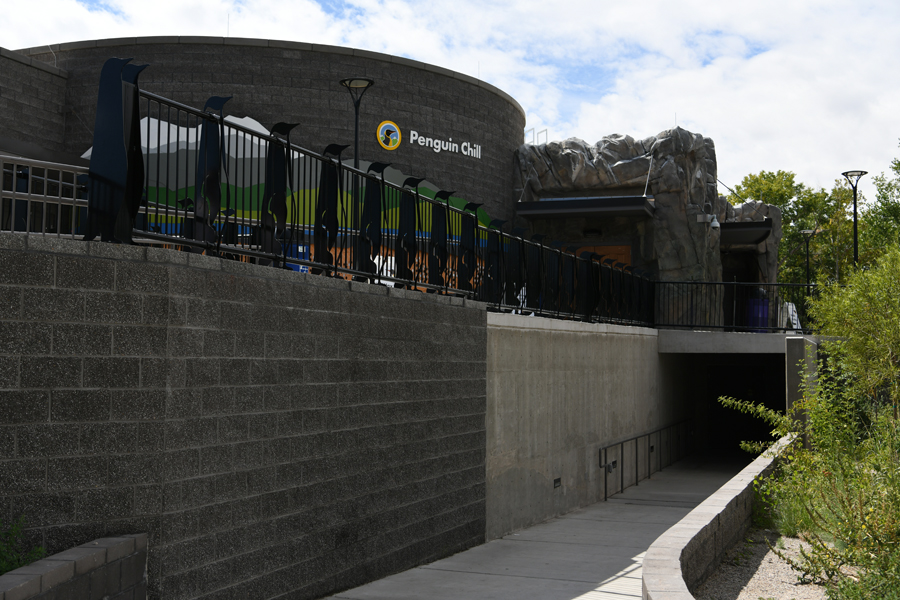 Penguin Chill - exit ramp