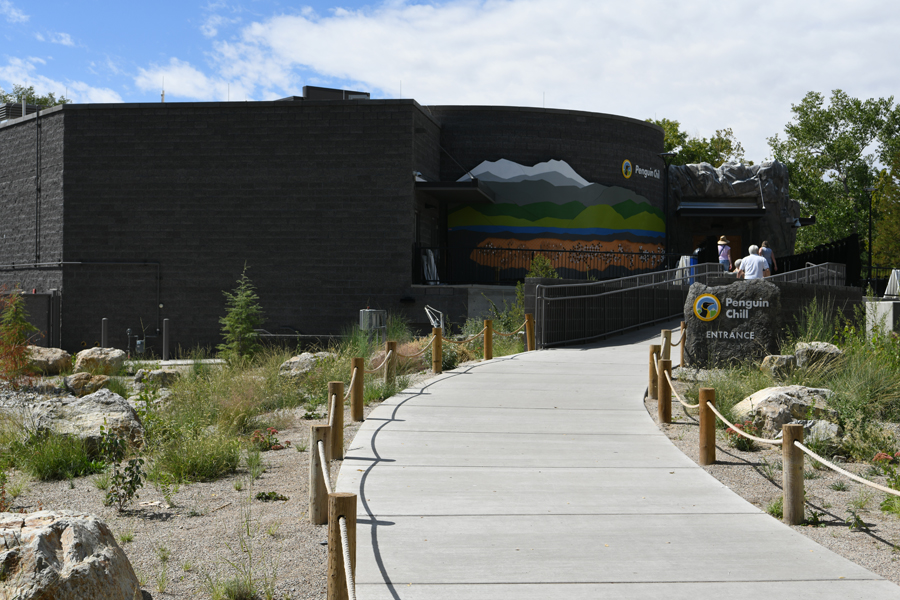 Penguin Chill - exterior entry ramp