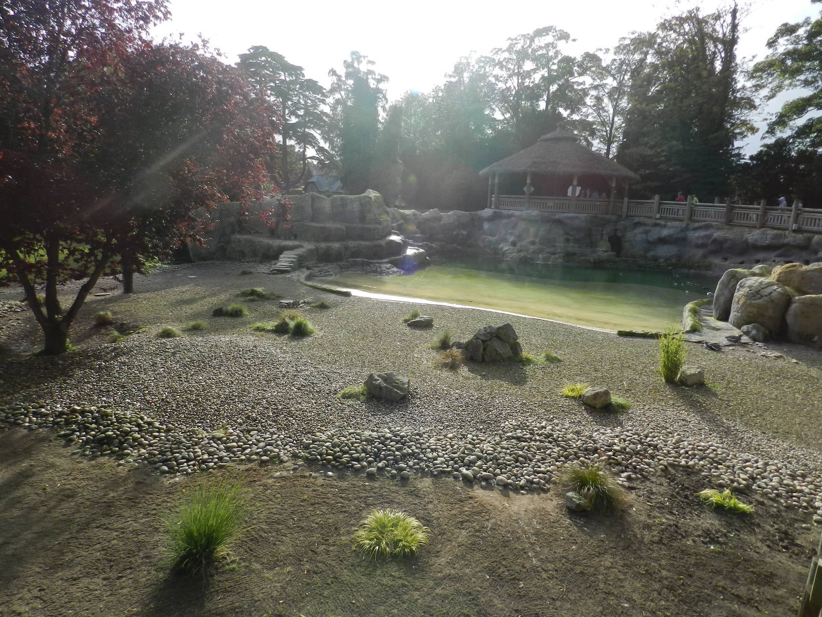 Penguin Coast at Flamingo Land - 14/10/2012