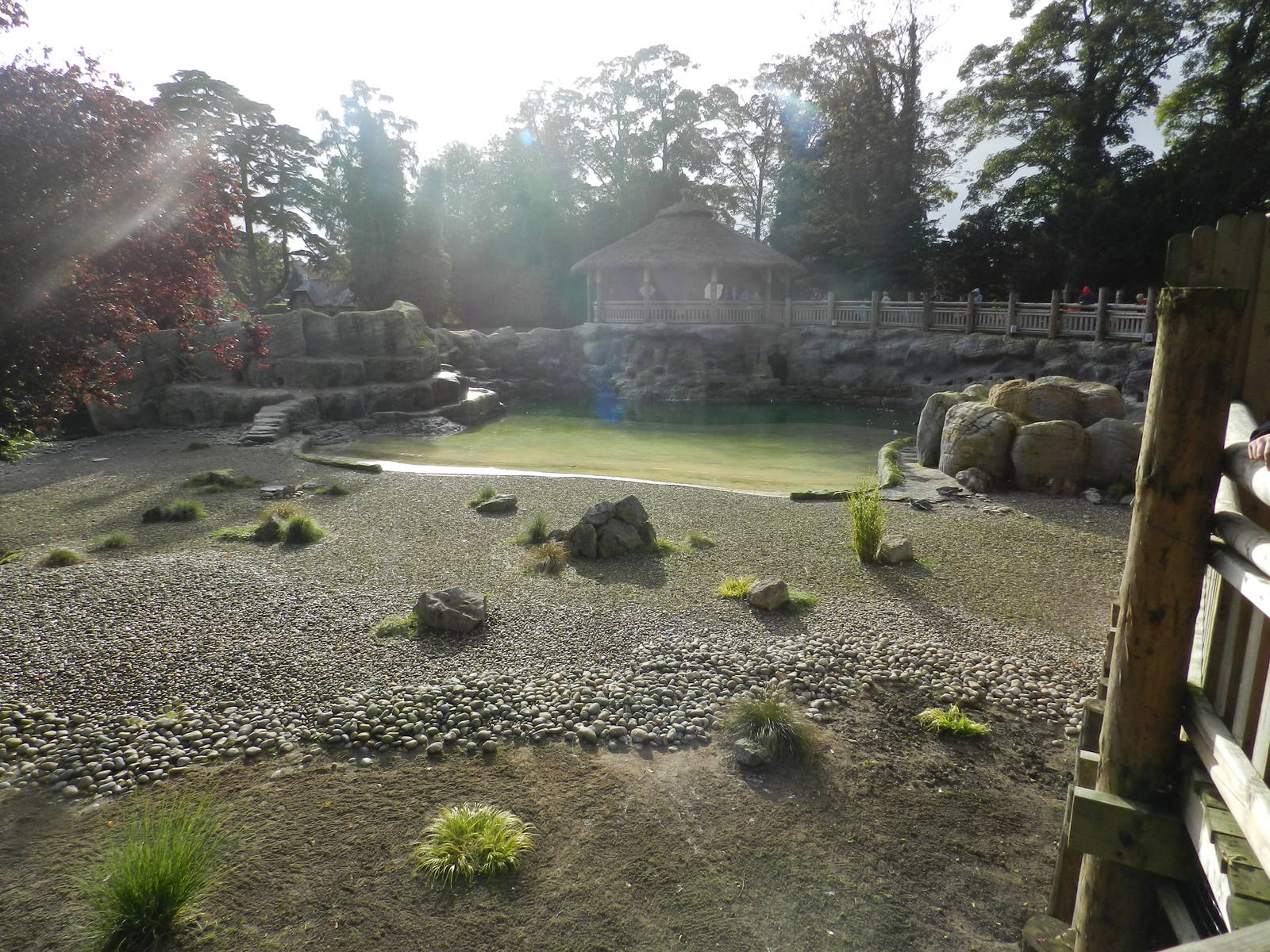 Penguin Coast at Flamingo Land - 14/10/2012