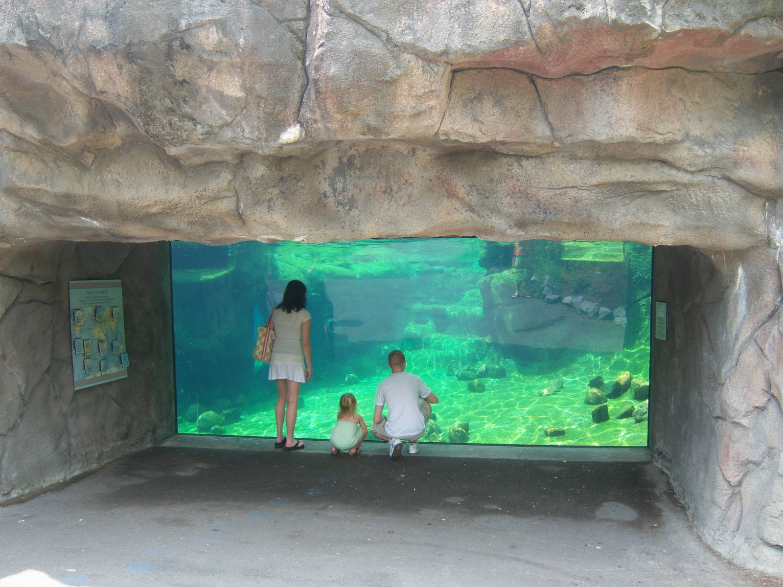 Penguin Coast Exhibit