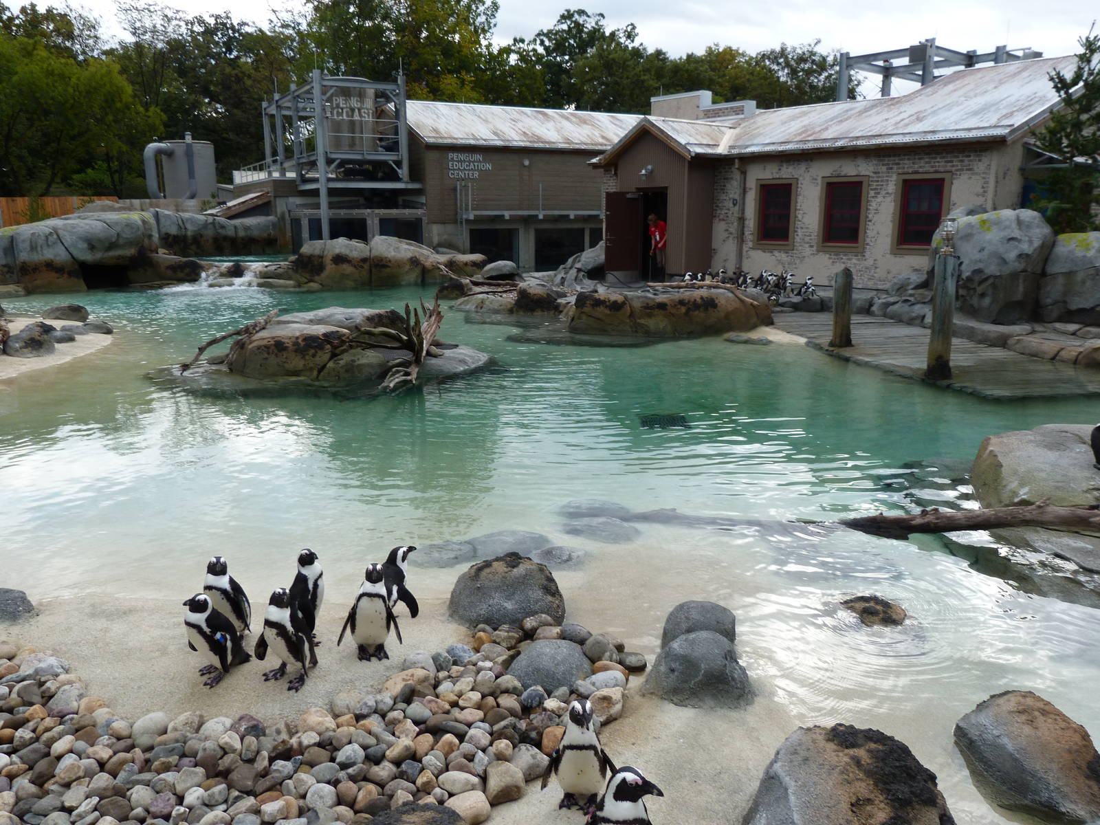 Penguin Coast - October 2014