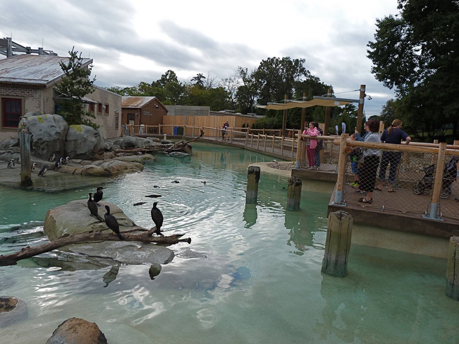 Penguin Coast - October 2014