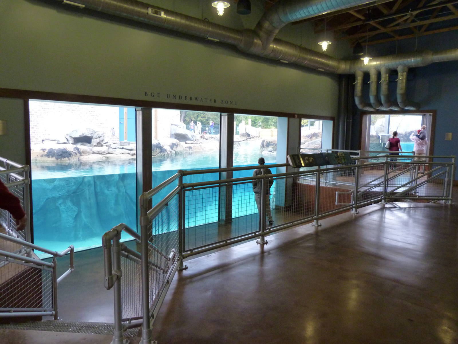 Penguin Coast - October 2014