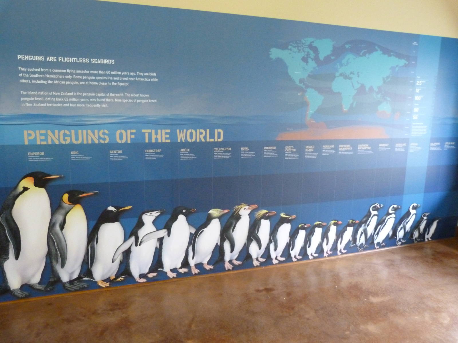 Penguin Coast - October 2014