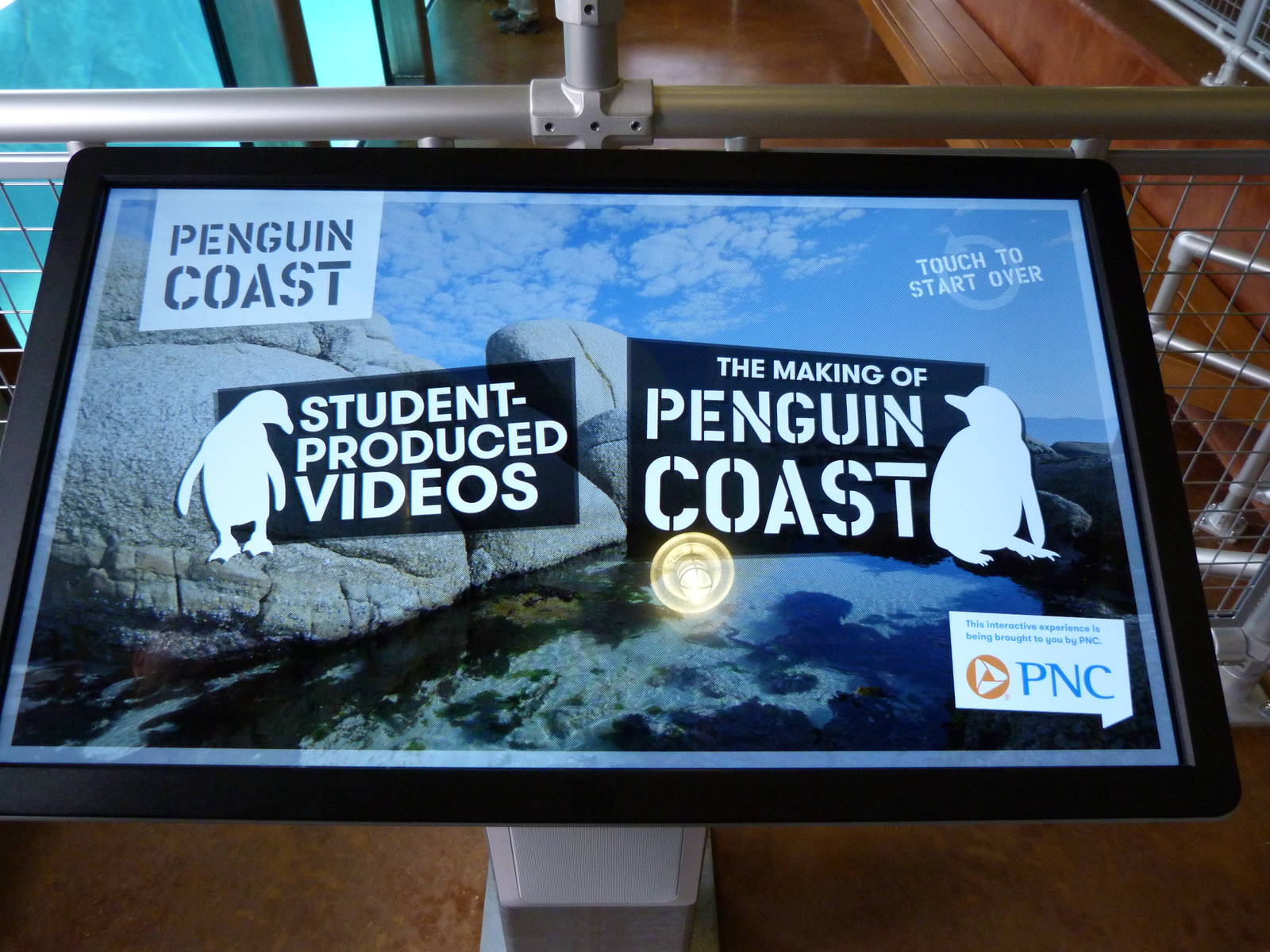 Penguin Coast - October 2014