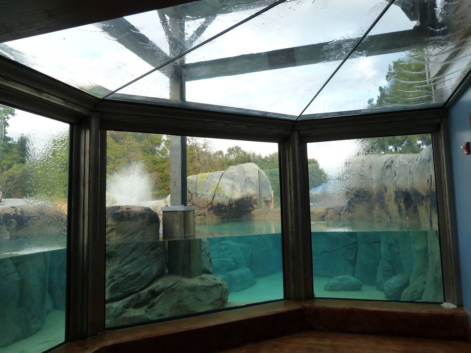 Penguin Coast - October 2014