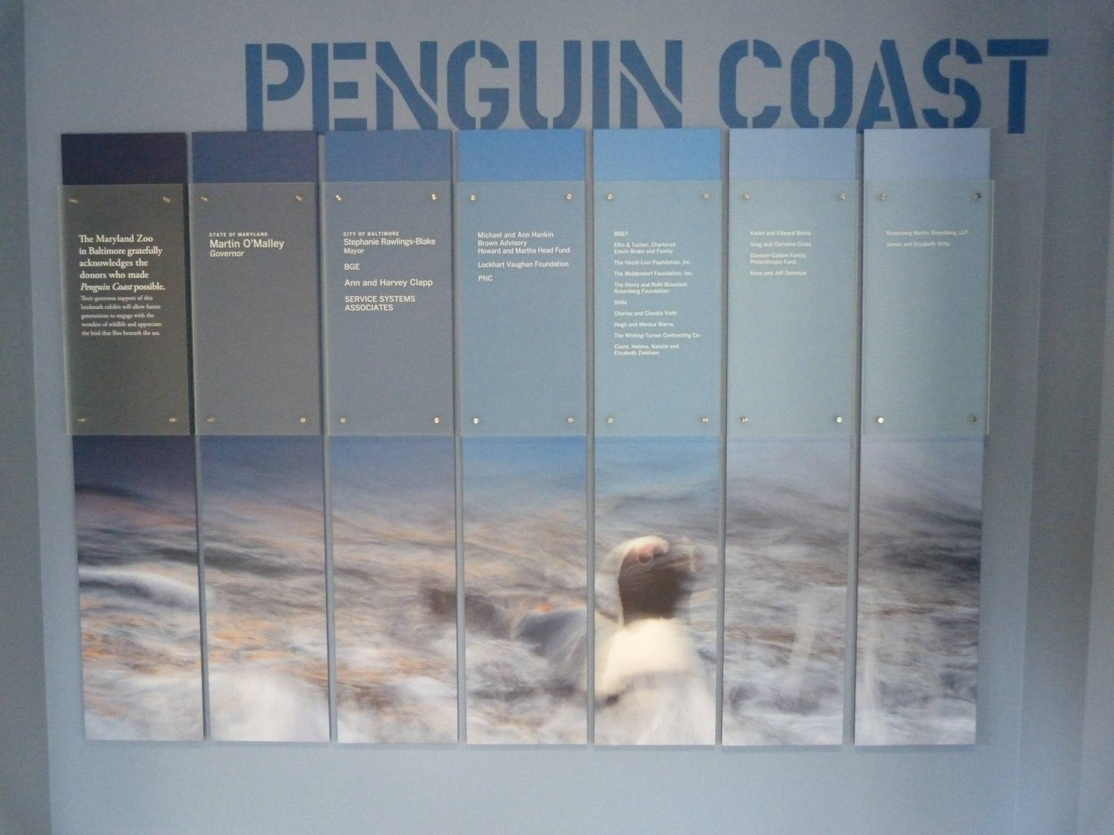 Penguin Coast - October 2014