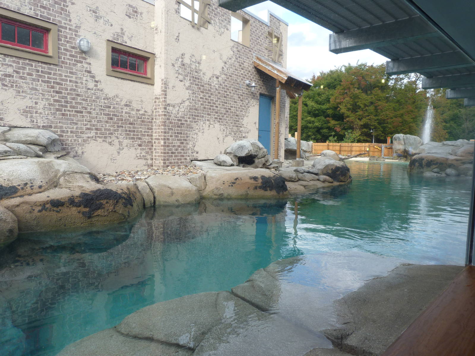 Penguin Coast - October 2014