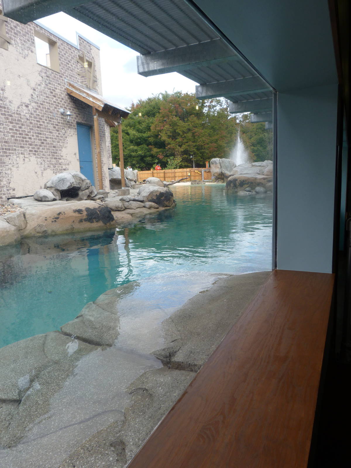 Penguin Coast - October 2014