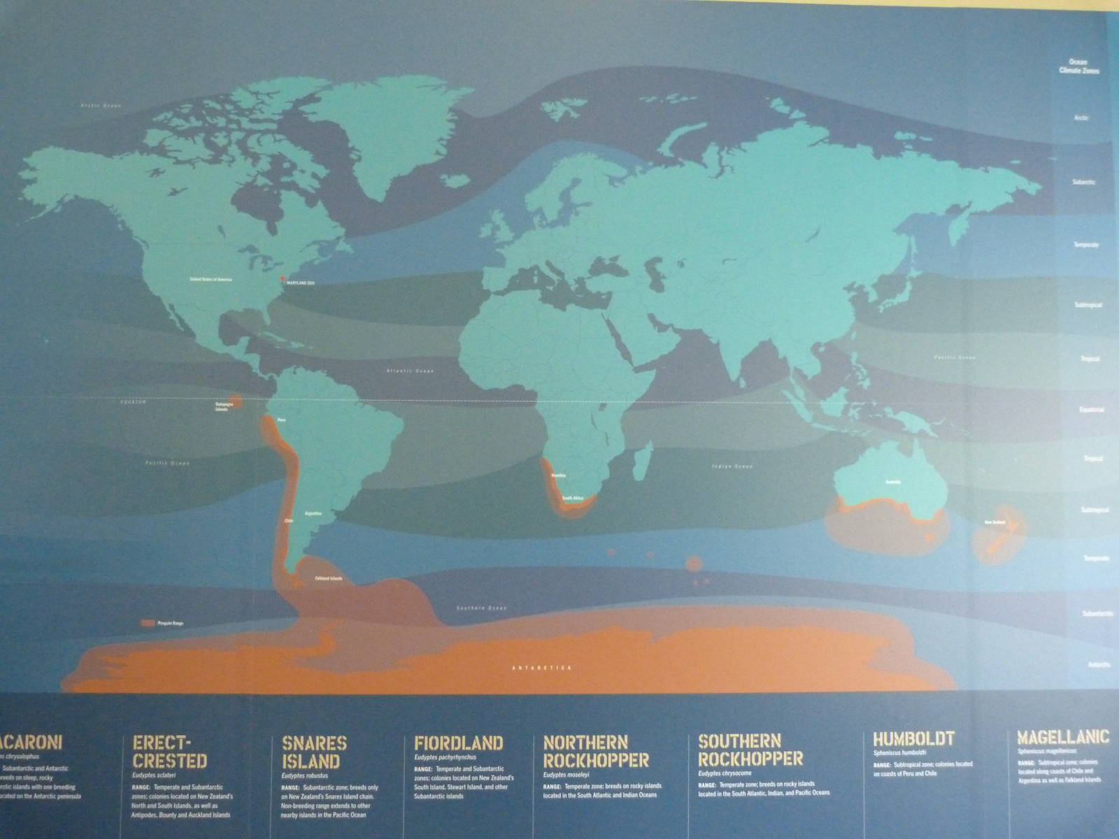 Penguin Coast - October 2014