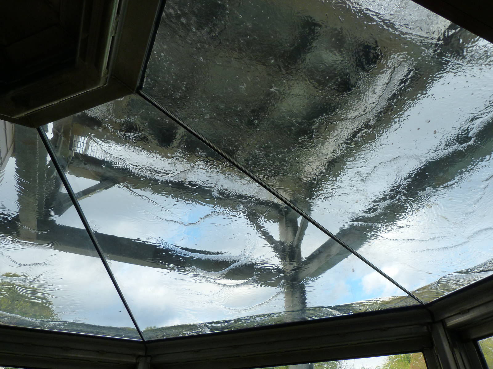 Penguin Coast - October 2014