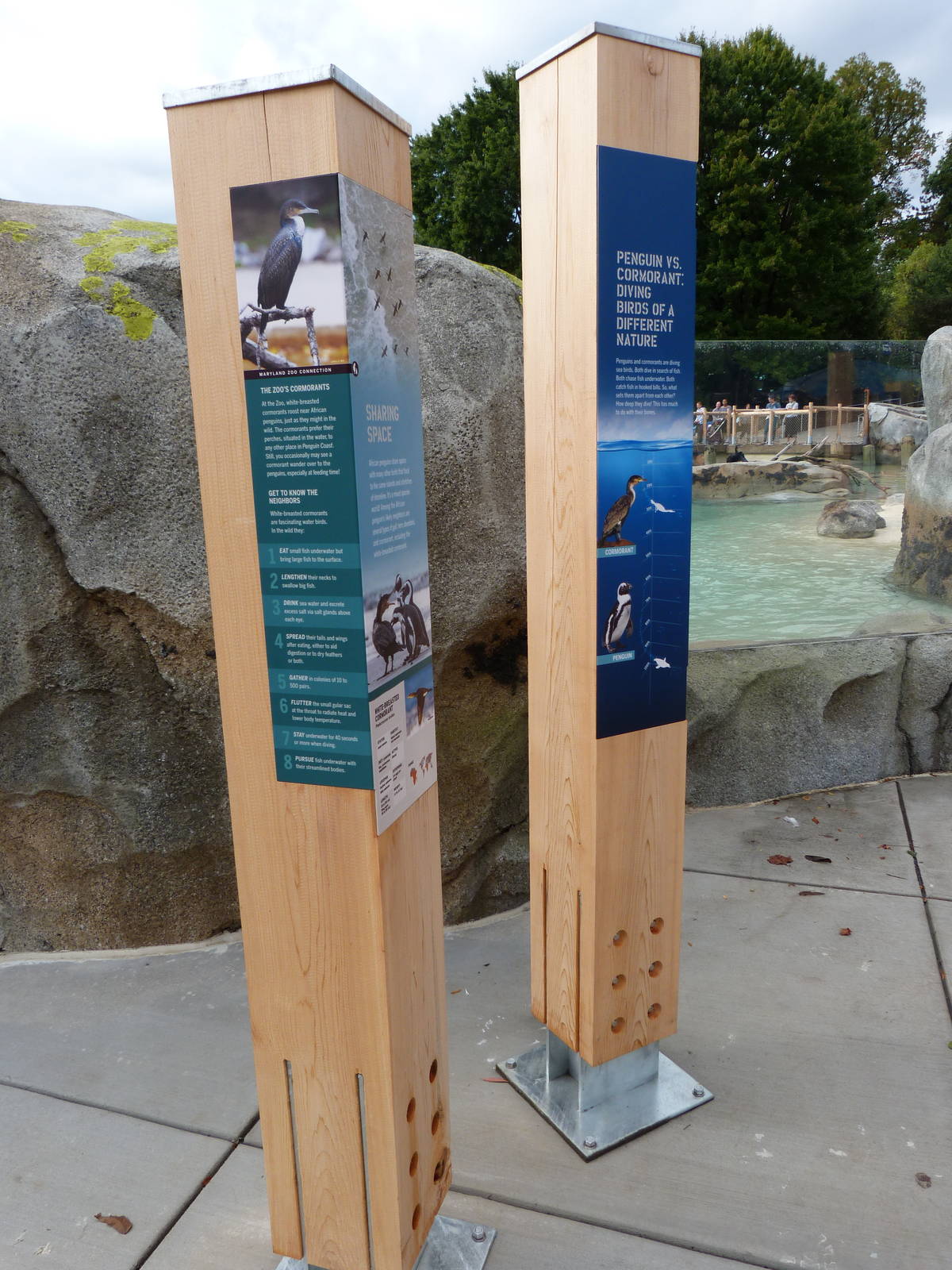 Penguin Coast - October 2014