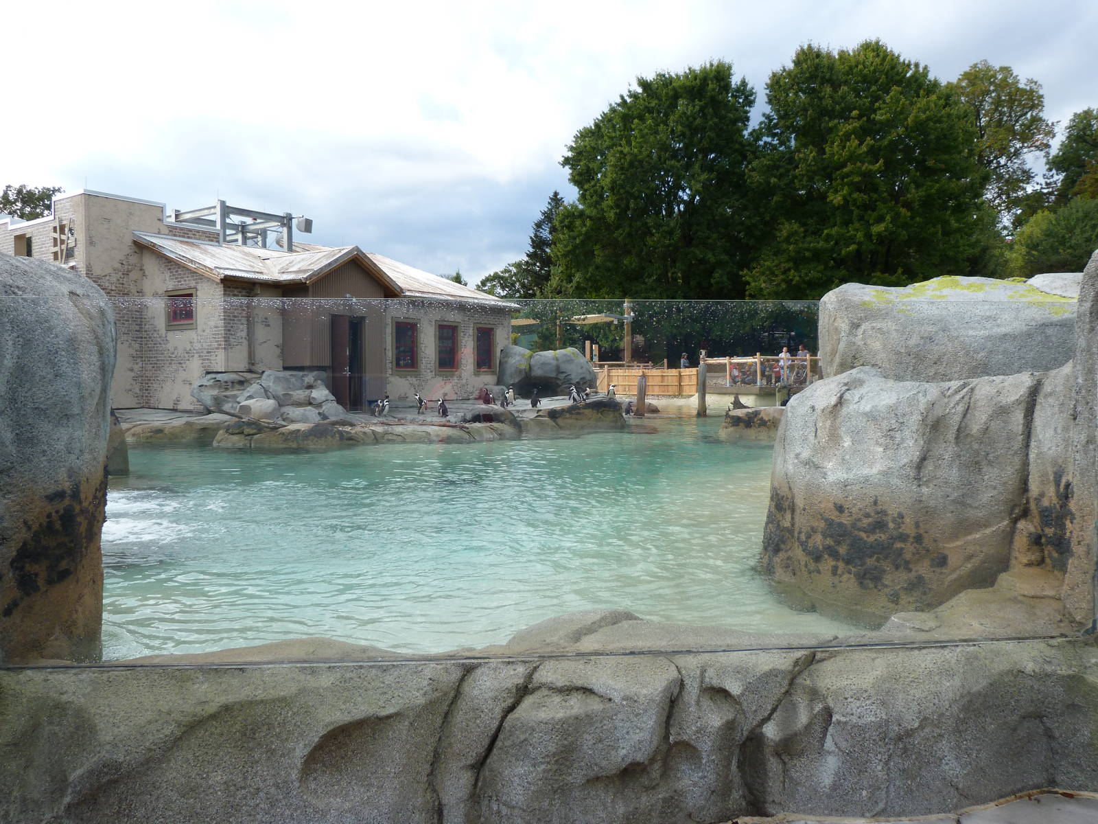 Penguin Coast - October 2014